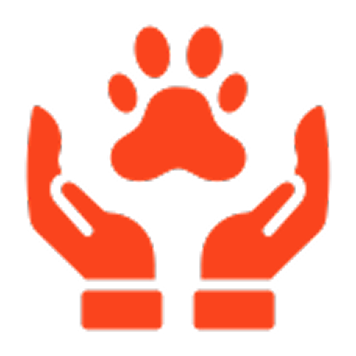 River Rat Pack Frenchies Red paw and hands on black background.