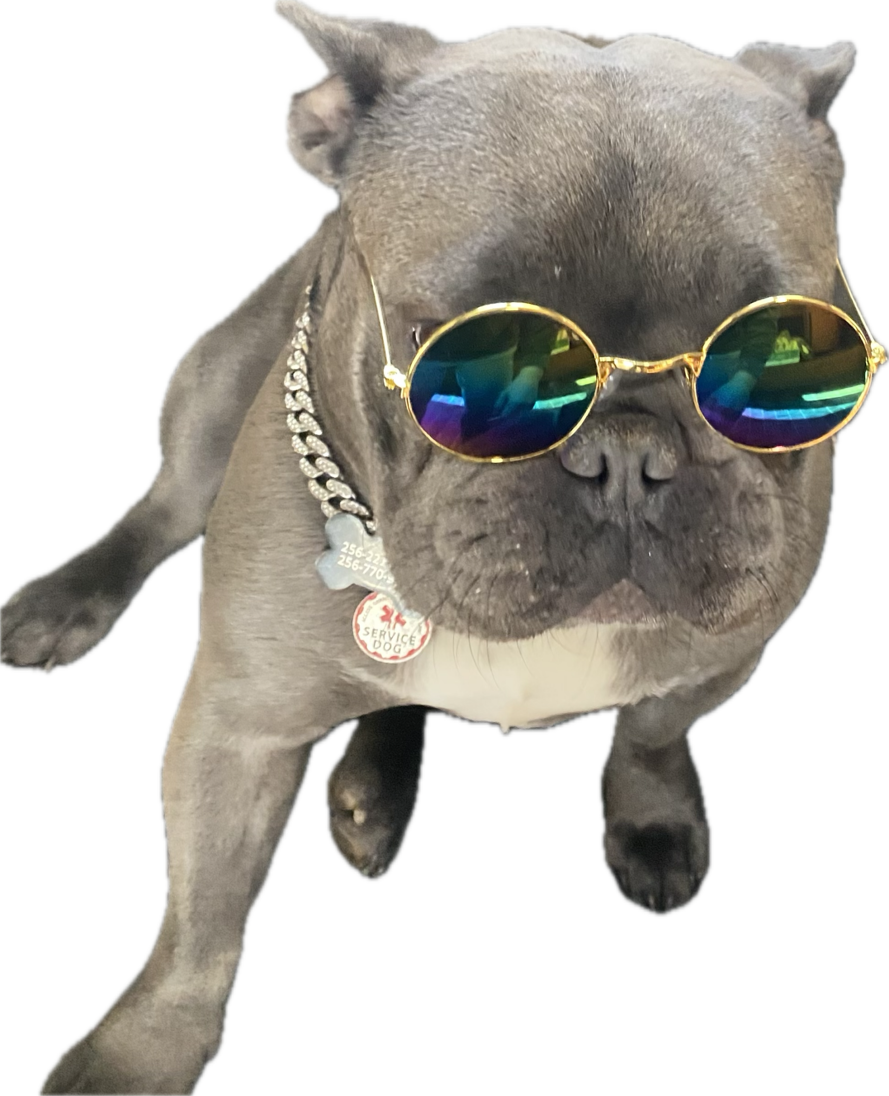 Ky in shades Ky in shades