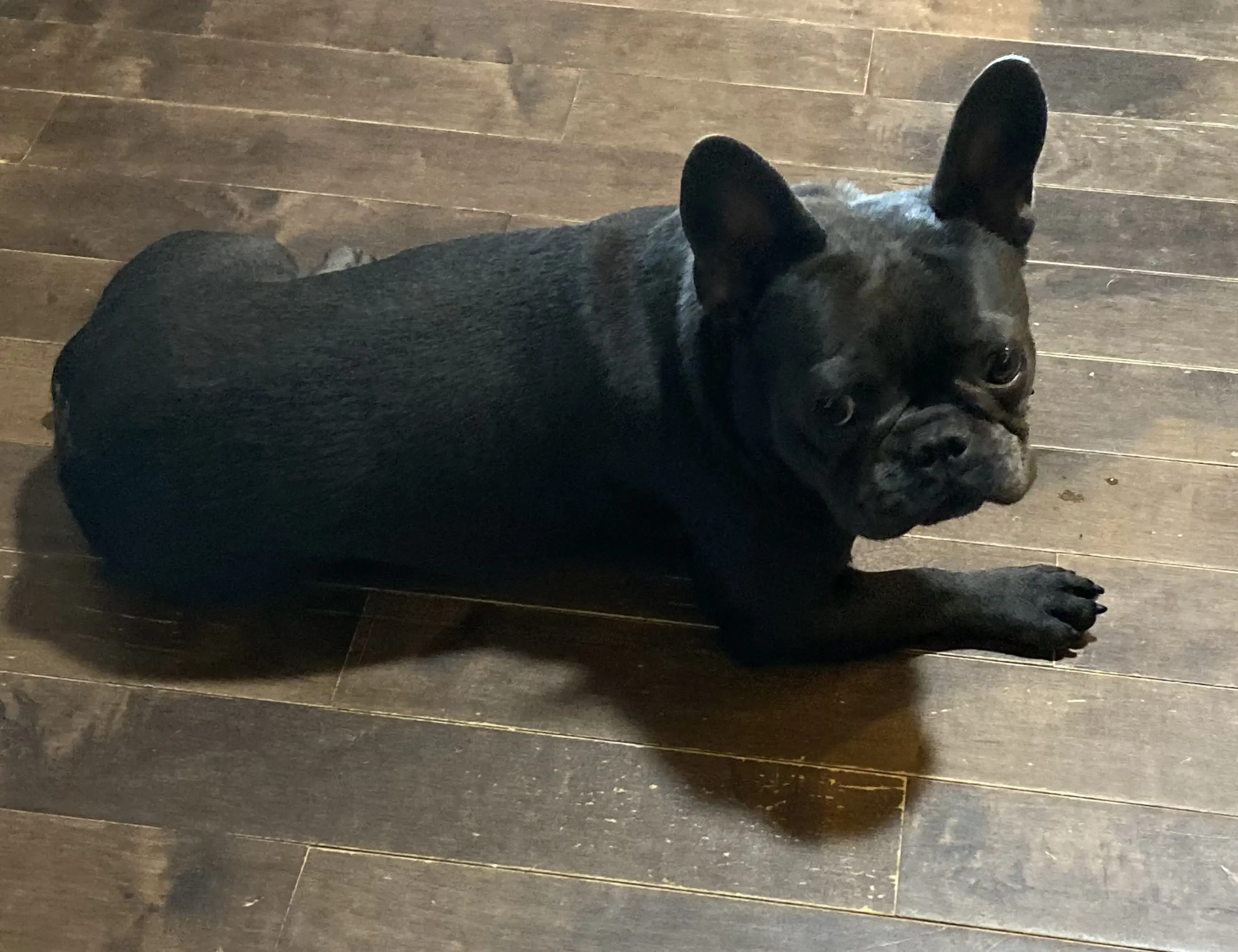 ZZ ZZ